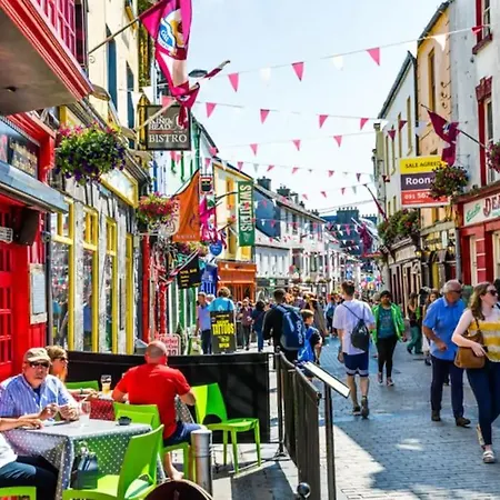 Large Modern House, Sleeps 17 With Parking Galway